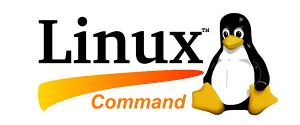 linux command line