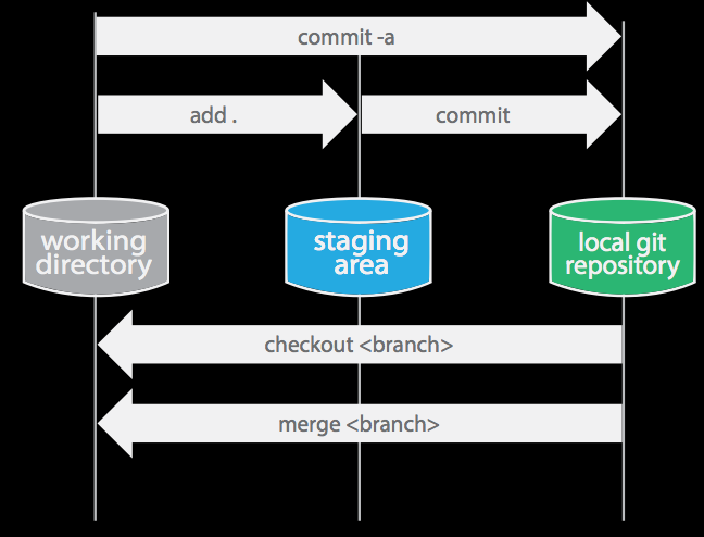 Git Workflow–Local Repository